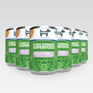 Hownd Fresh Blueberry & Coconut Porridge 12 x 375 g